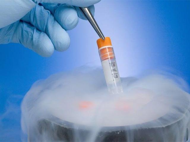 High Success IVF Services in Bangalore  Best fertility hospital in Bangalore