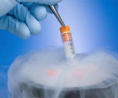 High Success IVF Services in Bangalore  Best fertility hospital in Bangalore