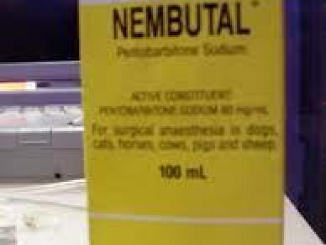 EspañolSolo se necesitan unos minutos para llegar a un final en paz.