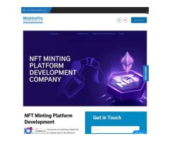 Get NFT Minting Platform Development Services with us