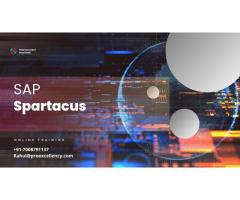 SAP Spartacus Online Training By Proexcellency