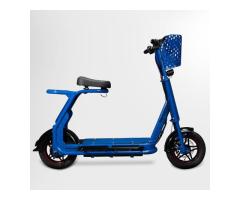 Electric scooters, Electric cycles