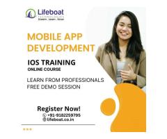 Lifeboat Technologies - Software Training Institute