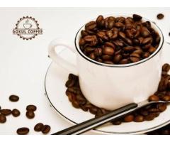 best filter coffee powder online
