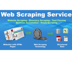 Best Web scraping services Provider