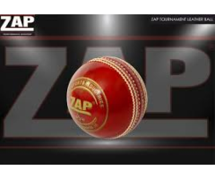 ZAP Cricket was founded with a rebellious spirit and a soaring objective.