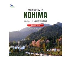 Homestay In Kohima - Book Stay Near Hornbill Festival