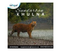 Discover the Marvels of Khulna & Sundarbans  Tripncare DMC Tours