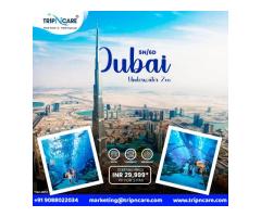 Unveil Dubai's Splendor! Exclusive Tripncare Tour Package Awaits