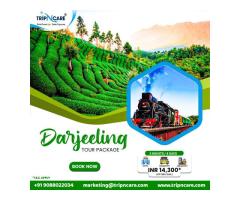 Discover Darjeeling Delights with Tripncare's Affordable Tour Packages