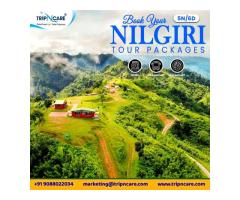 Discover the Untouched Splendor of Nilgiri Hills with Tripncare Tour Package