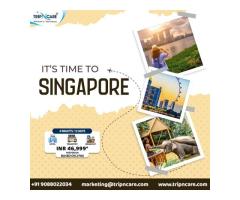 Embark on an Unforgettable Journey with Tripncare's Exclusive Singapore Holiday Package