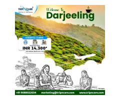 Explore the Beauty of Darjeeling with Tripncare Holiday Package