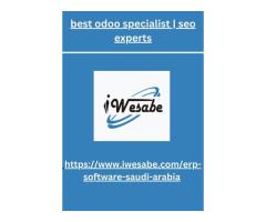 odoo freelance consultant | best odoo specialist