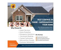 Pest Control in Thane - Safeguarding Your Home