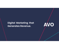 Digital Marketing Agency in Essex: AVO Agency