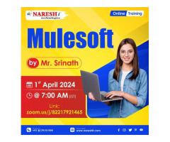 Top Best MuleSoft Online Course Training in NareshIT