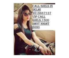 Delhi NCR @ (9818667137), Call Girls In Satya Niketan, Delhi NCR